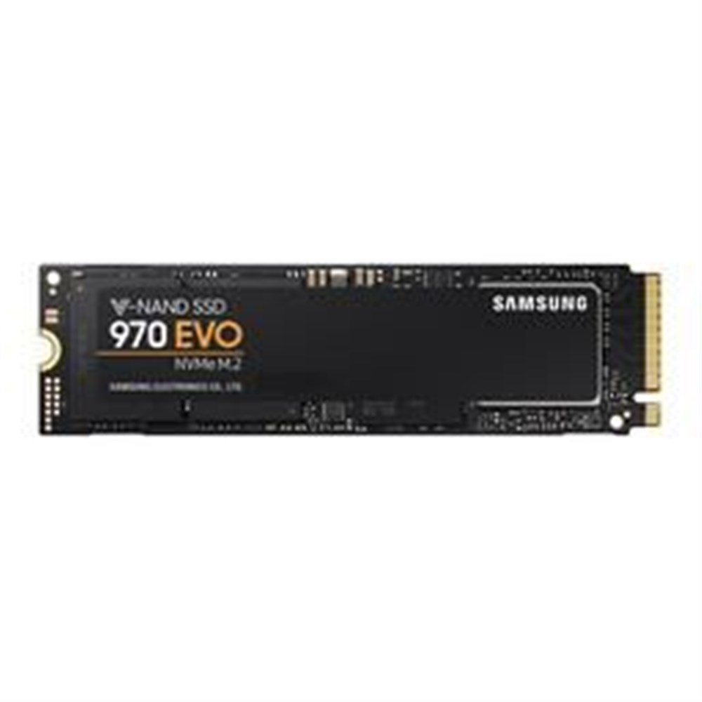  SaSamsung 970 Evo 500 GB M.2-2280 NVME Solid State Drive
m