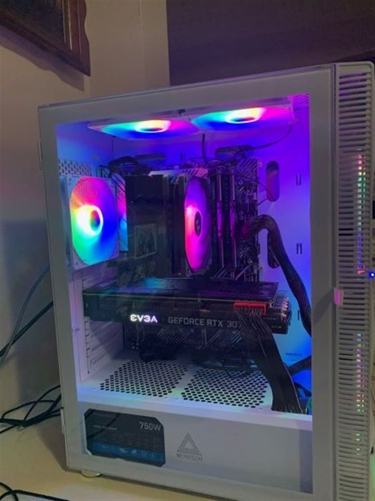 Catsaurus Racks Catasaurus - Micro Center Build