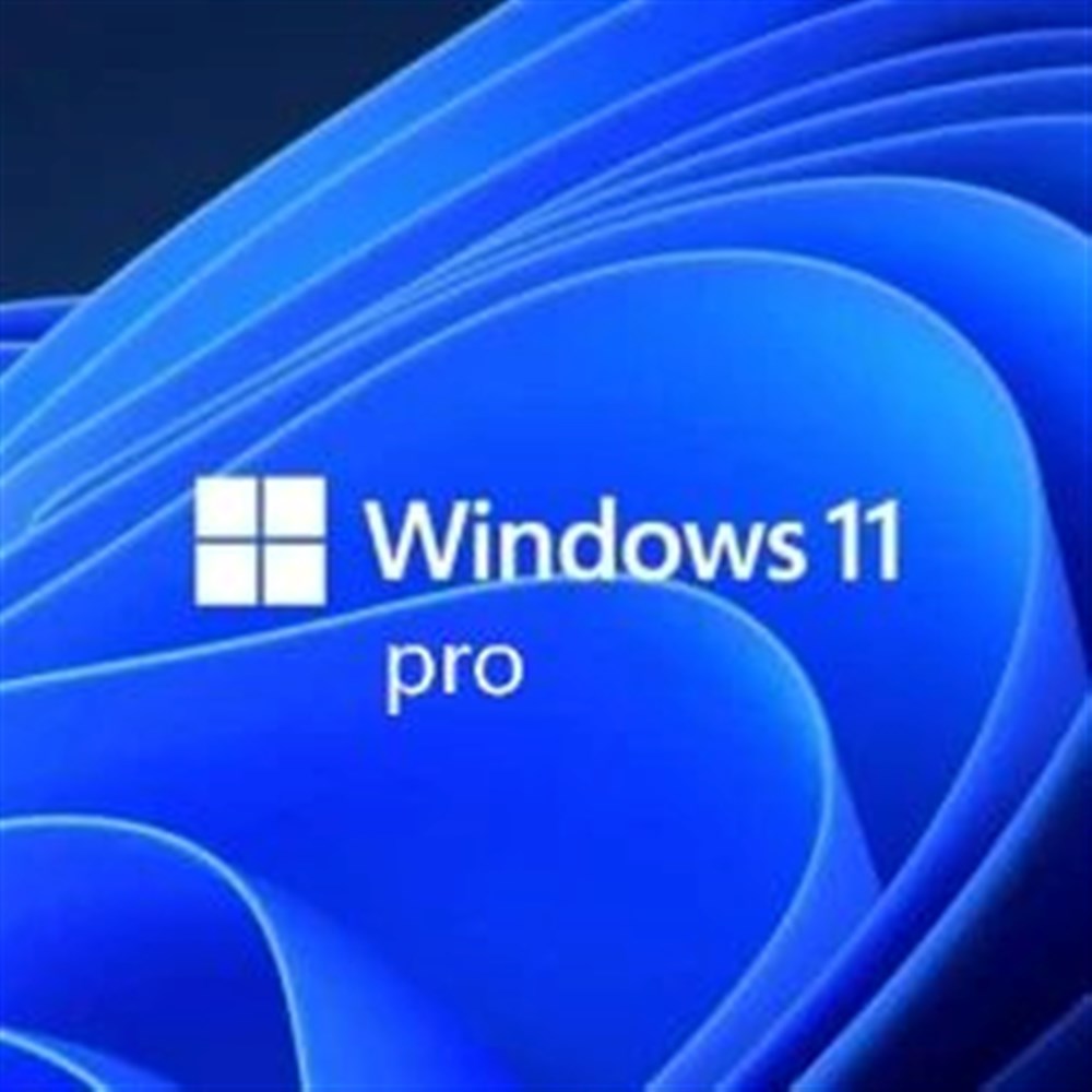 Microsoft Windows 11 Professional 64-bit OEI