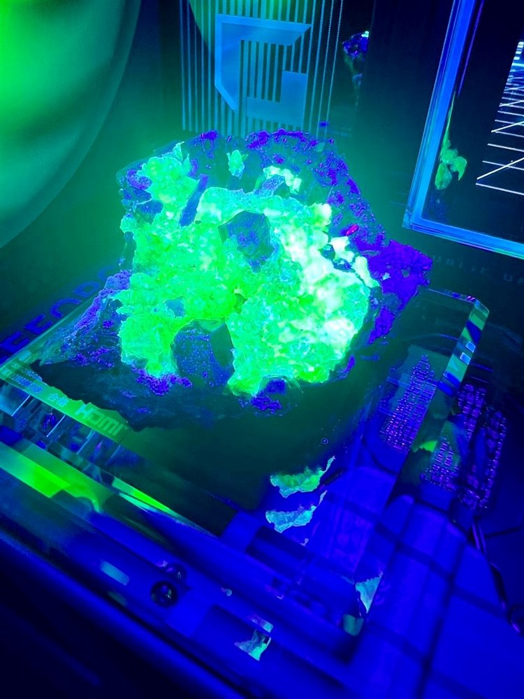Kryptonite - Micro Center Build