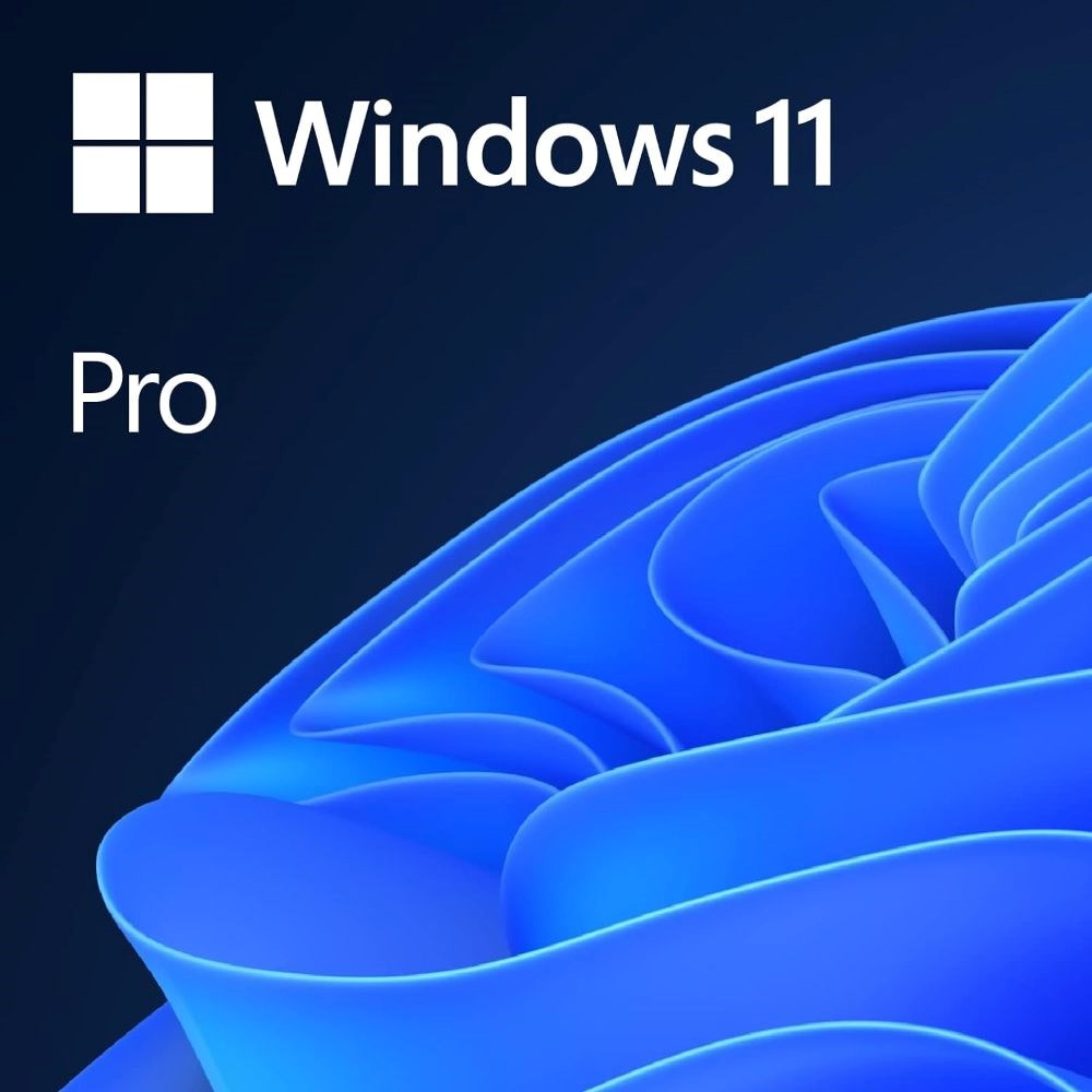 Microsoft Windows 11 Pro 64-Bit FPP USB - English